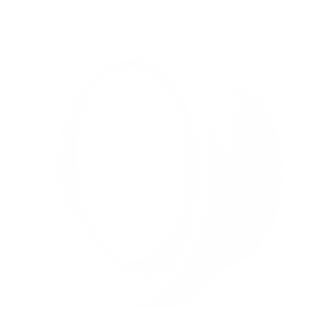 Helios Fans BTV 100